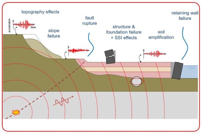 seismic